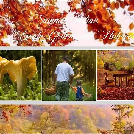 Feriehus L'escale Gourmande Hatrival