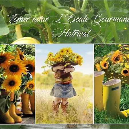 L'escale Gourmande Holiday home Hatrival