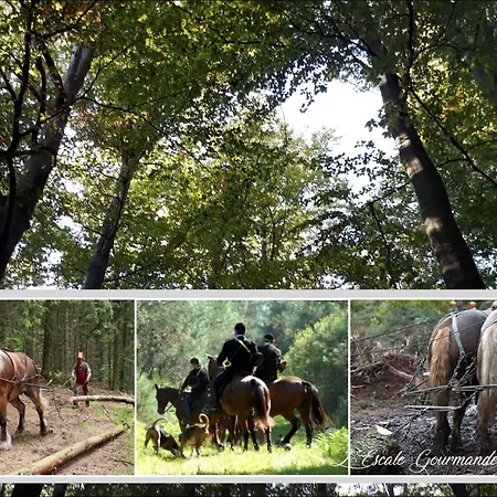 L'escale Gourmande Feriehus *