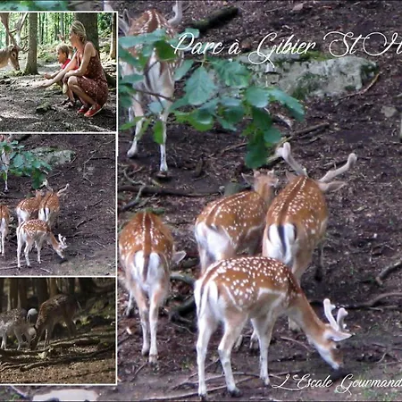 L'escale Gourmande * Hatrival