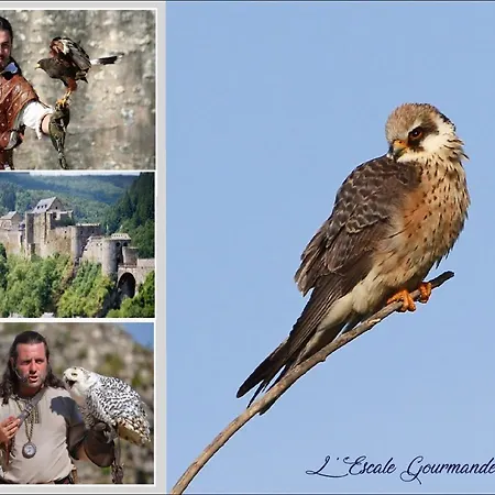 L'escale Gourmande Feriehus Hatrival