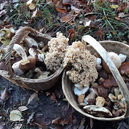 Prázdninový dům L'escale Gourmande Hatrival