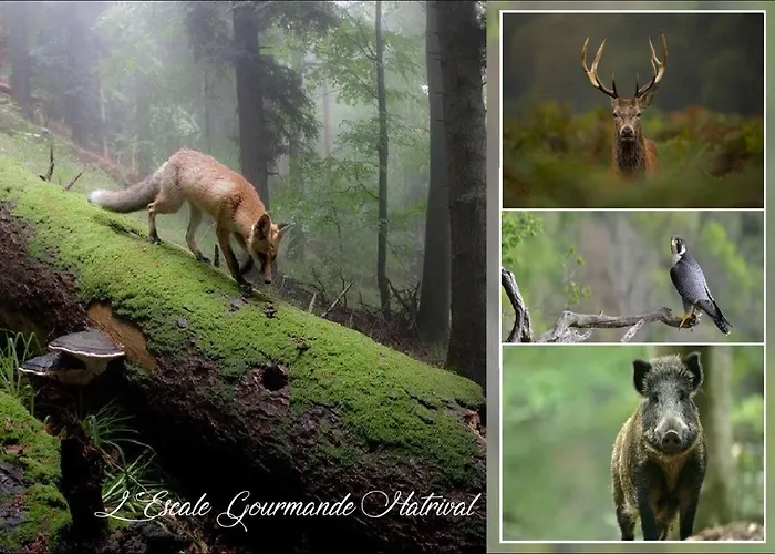 L'escale Gourmande Prázdninový dům