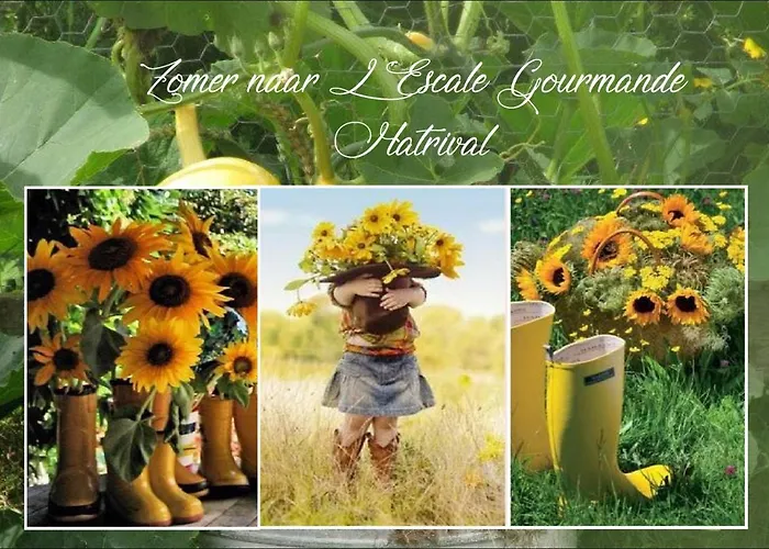 L'escale Gourmande Holiday home Hatrival