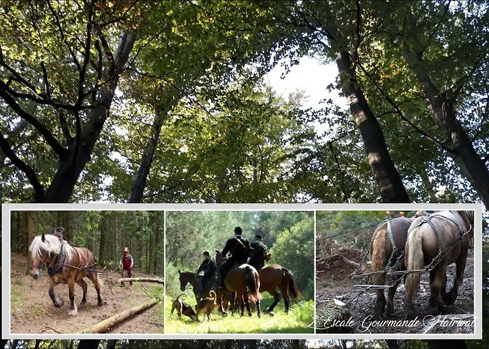 L'escale Gourmande Holiday home *