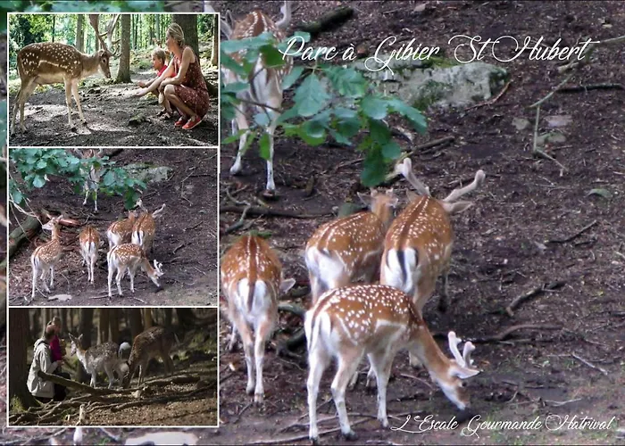 L'escale Gourmande * Hatrival