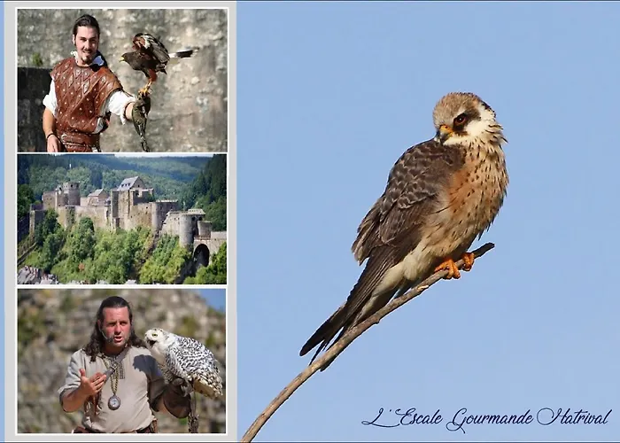 L'escale Gourmande Prázdninový dům Hatrival