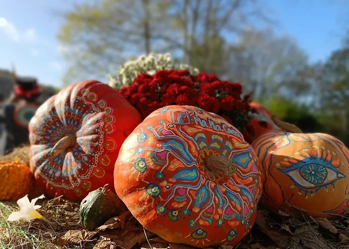 L'escale Gourmande Holiday home Hatrival