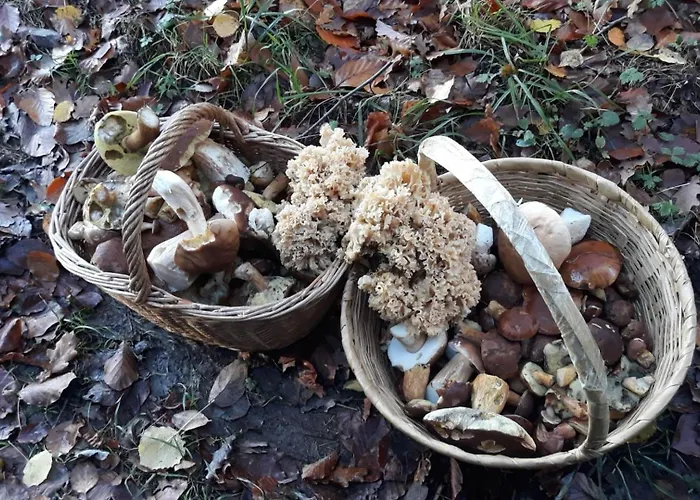 Holiday home L'escale Gourmande Hatrival